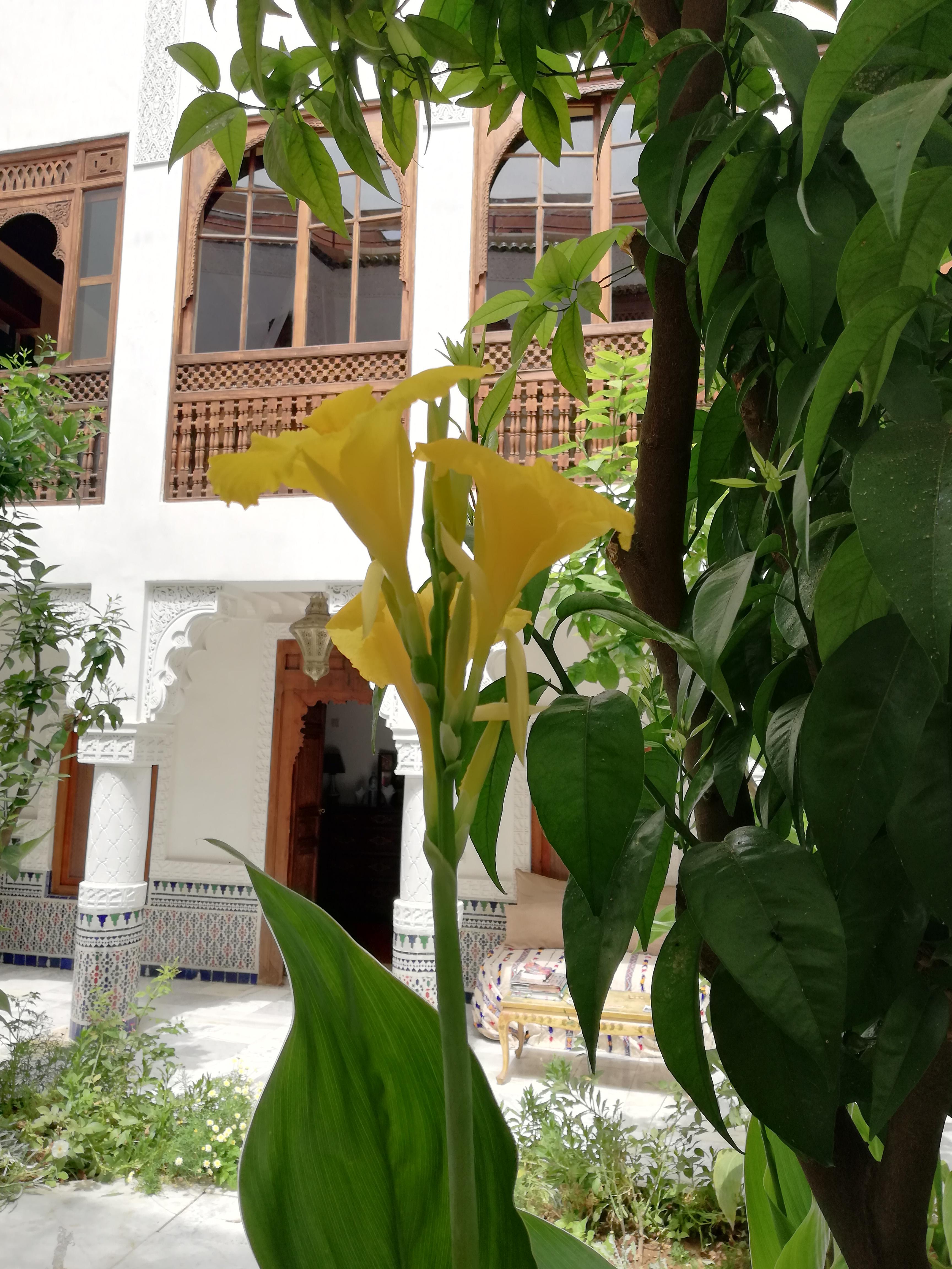 Riad Ben Youssef Марракеш Экстерьер фото